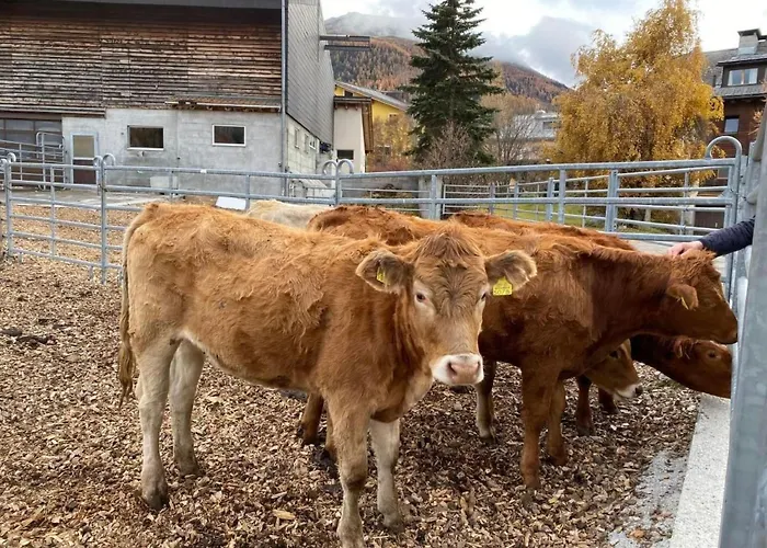 Chesa Engel By Interhome La Punt-Chamues-ch